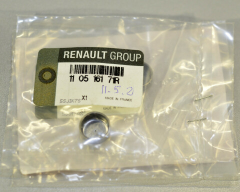 Заглушка блоку RENAULT Master/Movano 2.3dCi 10- (14mm)