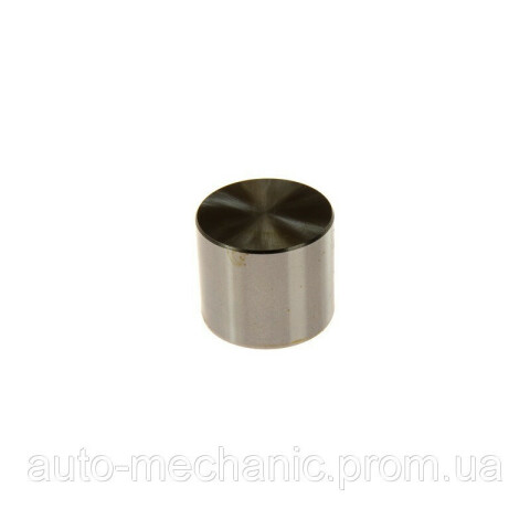 Товкач клапана (7.550mm) 1.9dCi / 1.5dCi + 1.9D + 1.9dTi + 1.9dCi / 1.5dCi / 1.5dCi / 1.9dTi + 1.9dCi Товкач клапана (7.550mm) 1.9dCi / 1.5dCi + 1.9D + 1.9dTi + 1.9dCi / 1.5dCi / 1.5dCi / 1.9dTi + 1.9dCi
