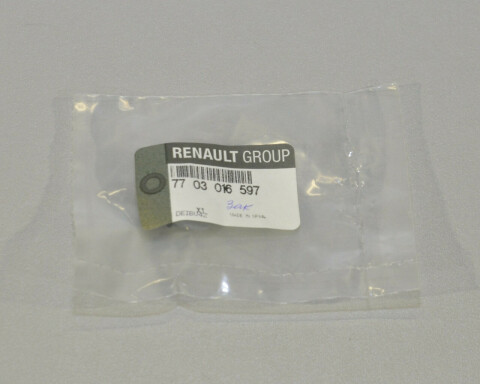 Гвинт М20 Renault Megane II + III внутрішньої/зовнішньої обшивки