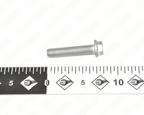 Болт крепления шкива коленчатого вала 2.5dCi / 2.2dCi + 2.5dCi