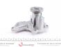 Насос воды Ford Fiesta IV/V/Focus/Fusion 1.0i/1.25/1.4i/1.6 16V 95-12/Mazda 2 03-07/Volvo 1.6 05-12, фото 7 - интернет-магазин Auto-Mechanic