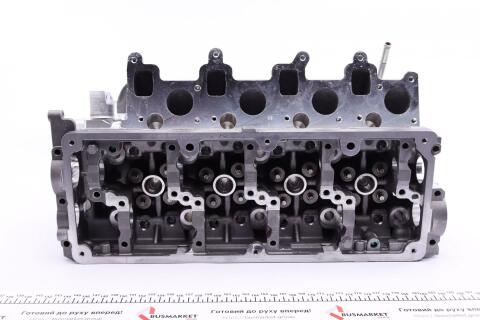 Головка блоку циліндрів (з клапанами) VW Crafter 2.0TDI 10-