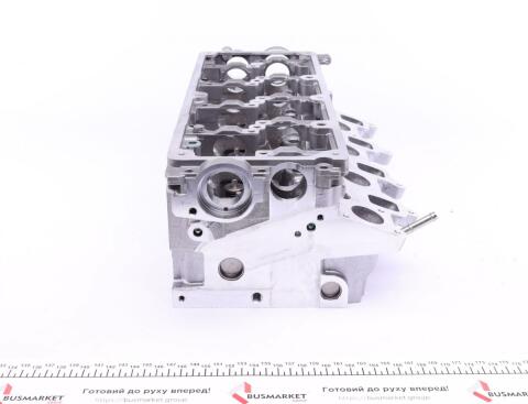 Головка блоку циліндрів (з клапанами) VW Crafter 2.0TDI 10-