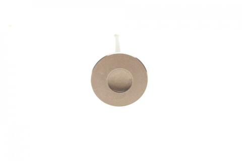 Клапан (випуск) Chevrolet Aveo/Kalos/Lacetti 1.4/1.6 16V 03- (27.30x6x101.20) (вальцювання)