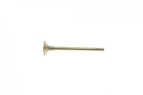 Клапан (впуск) Citroen Berlingo/Peugeot Expert 1.6HDi 05- (25.6x5.5x96.4 мм) (азотований) Клапан (впуск) Citroen Berlingo/Peugeot Expert 1.6HDi 05- (25.6x5.5x96.4 мм) (азотований)