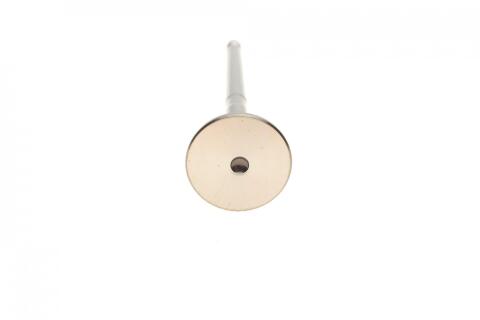 Клапан (випуск) Fiat Doblo 1.3D Multijet 16V 04- (21.9x6x109.2) (азотований)