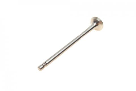 Клапан (випуск) Fiat Doblo 1.3D Multijet 16V 04- (21.9x6x109.2) (азотований)