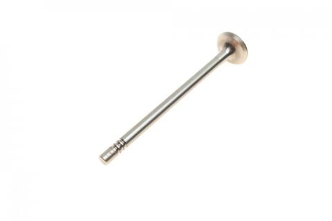 Клапан (випуск) Ford Transit/Mondeo 2.0D/2.0D 16V 00- (25.8x7x122.2) (азотування) Клапан (випуск) Ford Transit/Mondeo 2.0D/2.0D 16V 00- (25.8x7x122.2) (азотування)