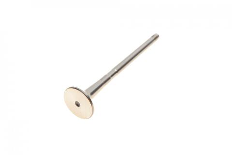 Клапан (випуск) Fiat Doblo 1.3D Multijet 16V 04- (21.9x6x109.2) (азотований)