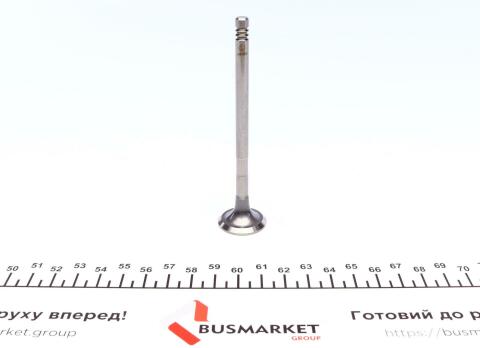 Клапан (випуск) Ford C-Max/Focus 1.4/1.6 16V 99-12 (24x6x101.4) (азотований)