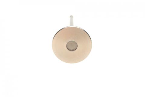 Клапан (випуск) Citroen Berlingo 2.0HDi 99-11 (33.8x6x107.1) (азотований)