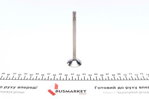Клапан (впуск) VW Crafter 2.0TDI 11-/T 5 2.0TDI 16V 09- (28.2x6x99.3) (азотований)