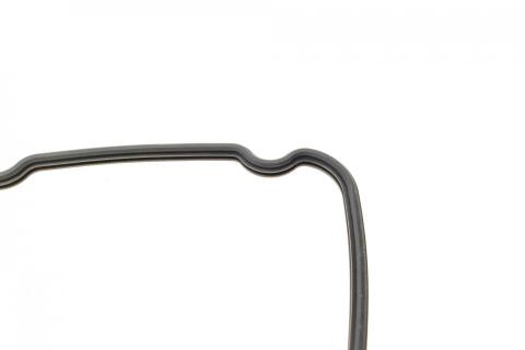 Комплект прокладок (повний) Ford Transit 2.4DI 01-06 (без прокладки ГБЦ)