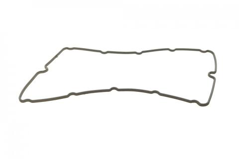 Комплект прокладок (повний) Ford Transit 2.4DI 01-06 (без прокладки ГБЦ)