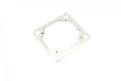 Комплект прокладок (повний) Ford Transit 2.4DI 01-06 (без прокладки ГБЦ)