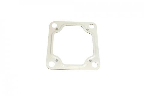 Комплект прокладок (повний) Ford Transit 2.4DI 01-06 (без прокладки ГБЦ)