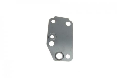 Комплект прокладок (повний) Ford Transit 2.4DI 01-06 (без прокладки ГБЦ)