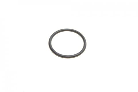 Комплект прокладок (повний) Ford Transit 2.4DI 01-06 (без прокладки ГБЦ)