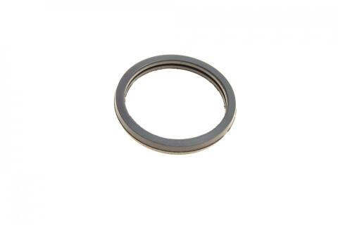 Комплект прокладок (повний) Ford Transit 2.4DI 01-06 (без прокладки ГБЦ)