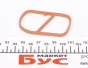 Прокладка впускного коллектора Fiat Doblo/Opel Combo 1.3JTD 05-, фото 1 - интернет-магазин Auto-Mechanic