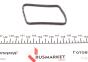 Комплект прокладок (полный) Peugeot Bipper 1.4HDi 08-(без ГБЦ) (заменено на 449.491), фото 9 - интернет-магазин Auto-Mechanic