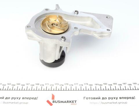 Комплект ГРМ + помпа Ford C-Max/Fiesta/Focus/Mondeo 1.25/1.4/1.6 05-/Volvo 1.6 07-12 (117x22)(PA990)