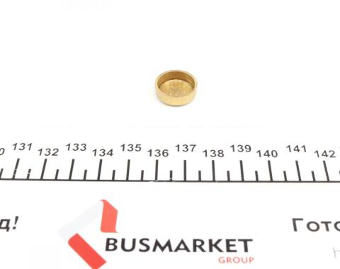 Заглушка блоку циліндрів (d=16,5mm) Латунь/Brass
