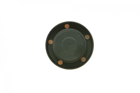 Ролик генератора DAF CF 85/XF 105 05- (паразитний) (78x38)