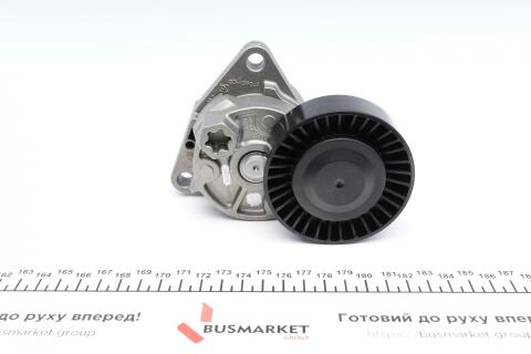 Натяжник ремня генератора Kia Carnival 2.9TD 07- Натяжник ремня генератора Kia Carnival 2.9TD 07-