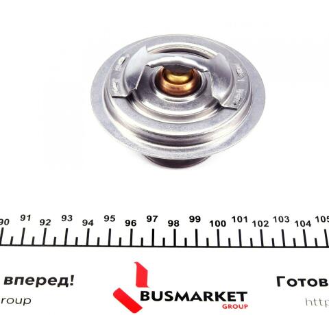 Термостат BMW 5 (E34)/7 (E32/E38) 3.0i-5.0i 87-01