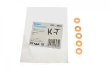 Комплект шайб під форсунку Renault Trafic 1.9-2.5 dCi (5 шт) (7.16x13.7x3)