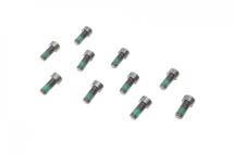 Болти маховика (к-кт 10 шт) VW Golf IV/V 3.2 R32/Passat 3.2/3.6 FSI 02-14