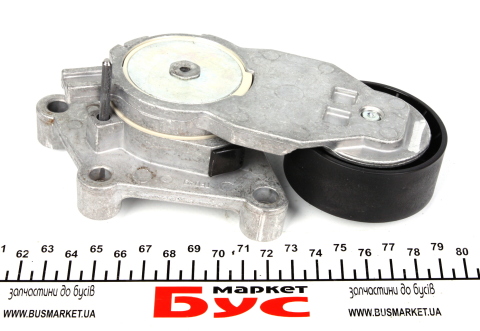 Натяжник ремня генератора Citroen/Peugeot/Ford 1.4HDi/1.6TDCi 01-