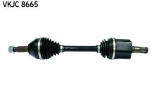 Піввісь Піввісь