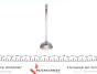 Клапан (впуск) Citroen Berlingo/Peugeot Partner 1.6 16V 00- (31.2x6x103.80) (вальцювання), фото 5 - інтерент-магазин Auto-Mechanic