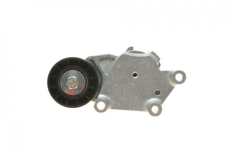 Натяжник ремня генератора Citroen/Peugeot/Ford 1.4HDi/1.6TDCi 01-