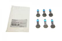 Болти маховика (к-кт 6 шт) Fiat Doblo 1.6 D Multijet 10-