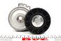 Натяжник ременя генератора Fiat Scudo/Peugeot Boxer/Partner 2.0-2.2HDI 99-, фото 2 - интернет-магазин Auto-Mechanic