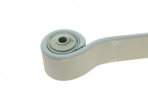 Ресора задня Ford Transit 00-06 (60/698/672), 21мм.