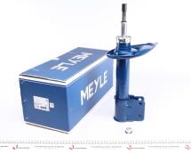 Амортизатор (передній) Citroen C4 II 09- (L) Амортизатор (передній) Citroen C4 II 09- (L)