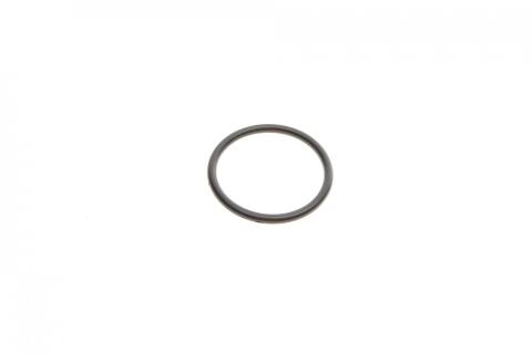 Фильтр АКПП BMW 5 (E34/39)/7 (E32/E38) M60/M62/M67 92-04 (с прокладкой)