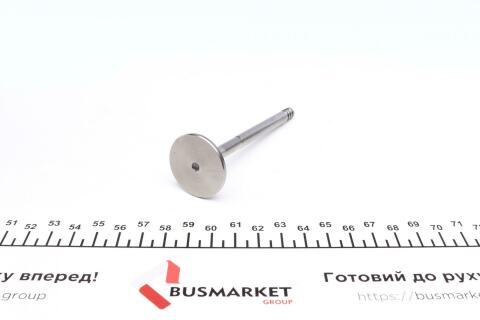 Клапан (выпуск) VW Caddy II/Golf IV 1.9TDI 96-06 (31.50x74x96,8) (азотированный)