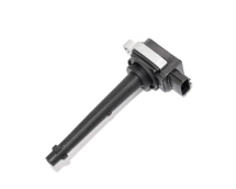 Катушка зажигания Renault Laguna III / Clio III 2.0 16V 