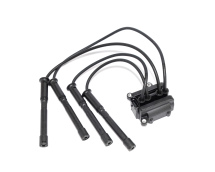 Котушка запалювання з проводами Renault Kangoo I / Clio IIClio II 1.2 16V Котушка запалювання з проводами Renault Kangoo I / Clio IIClio II 1.2 16V