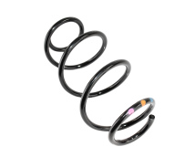 Пружина (задняя) Dacia Dokker 1.2TCe/1.5dCi/1.6 12-