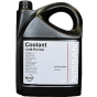 Антифриз NISSAN Coolant L248 Premix, 5 літрів, фото 1 - інтерент-магазин Auto-Mechanic