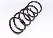 Пружина (передня) Dacia Duster 1.5dCi/1.5dCi 4x4 10-18/Renault Duster 1.5dCi 4x4 11- (позашляховик) Пружина (передня) Dacia Duster 1.5dCi/1.5dCi 4x4 10-18/Renault Duster 1.5dCi 4x4 11- (позашляховик)