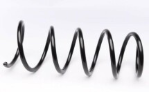 Пружина (передняя) Dacia Duster 1.6 16V/1.6 16V 4x4/1.6 16V Hi-Flex 10-18/Renault Duster 11- (SUV)