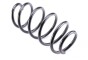 Пружина (передня) VW Passat B6/B7 1.6-2.0TDI/TSI/FSI 05-14 (седан/унив)/Skoda Superb 1.9TDI 08-15, фото 2 - интернет-магазин Auto-Mechanic