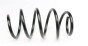 Пружина (передня) VW Passat B6/B7 2.0TDI/4motion 05-14 (седан/унив)/Audi A3 2.0FSI/TFSI 03-13, фото 4 - интернет-магазин Auto-Mechanic